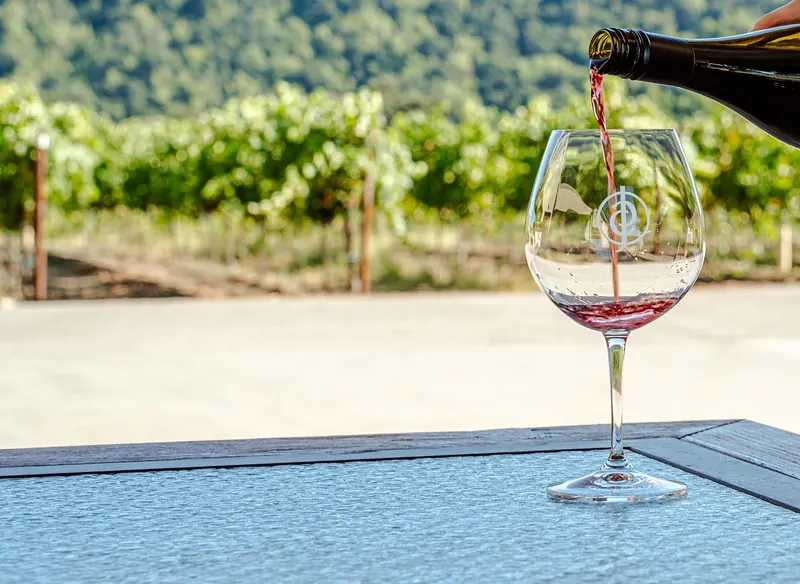A glass of red wine on a table overlooking the Jack Creek vineyard